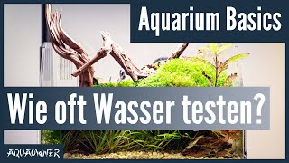 Wie oft soll man Wasserwerte messen  Aquarium Basics [upl. by Guild610]