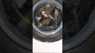 Beko Bpro500 Washing Machine AquaTech System [upl. by Hamil]