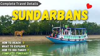 Sundarban Tour  Sundarban Vlog  Sundarban Tour Package Hindi  Sundarban Delta sundarban [upl. by Olney474]