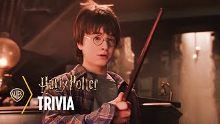 Harry Potter’s Wizarding World  Trivia  Warner Bros Entertainment [upl. by Jada938]