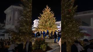 McArthurGlen Designer Outlet Cannock Christmas Lights switch on 2024 [upl. by Aihtiekal]