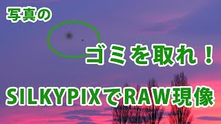 RAW現像でゴミを取れ！SILKYPIXのゴミ取り機能の使い方 [upl. by Joachima]