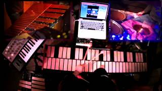 quotBrundleFlyquot  XylosynthVibraphone  Steve Shapiro [upl. by Punke]