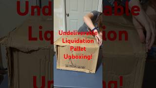 Undeliverable Pallet 7 Unboxing 6 [upl. by Attalanta764]