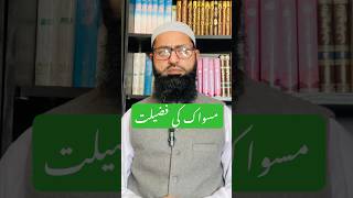 Miswak ke faiyde bayan urdubayan shortvideo viralvideo🕋🤲🏽miswak ki fazilat [upl. by Quintie]