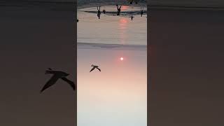 praia barra de guaratiba RJ [upl. by Isyak]