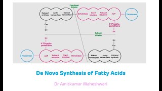 Fatty Acid Synthesis  De Novo Synthesis of Fatty Acids  Biochemistry [upl. by Goetz]