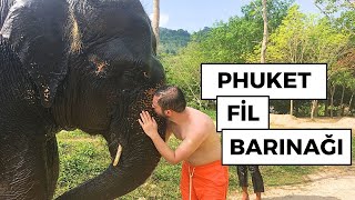 Fil Barınağında Unutulmaz Gün  Elephant Sanctuary Park Phuket [upl. by Cody501]