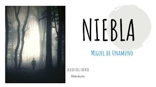 Niebla Miguel de Unamuno Audiolibro Completo [upl. by Harrietta]