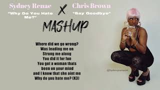 Sydney Renae × Chris Brown  Why Do You Hate Me  Say Goodbye  MASHUP [upl. by Nairod]