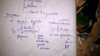 Biochemistry of polyamines with notes [upl. by Rowena]