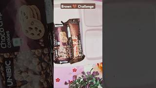 BROWN CHALLENGE 🟤🤎 Shorts viral Shorts chocolate Brownchallenge lunchboxideas lunchbox cake [upl. by Ahsilra]