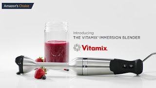 Vitamix Immersion Blender Review  Best Vitamix Immersion Blender  Best Immersion Blender [upl. by Rimma]