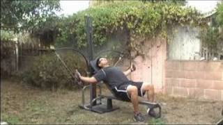 How to Do Bowflex Exercises  Pectoral Fly Exercises Using Bowflex System [upl. by Kerril199]