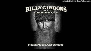 Billy Gibbons and The BFGs – Hombre Sin Nombre [upl. by Anahc982]