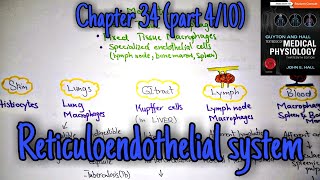 Reticuloendothelial sytem chapter 34 part 4 Guyton and Hall text book of physiology [upl. by Nidak75]