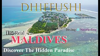 4K  DISCOVER THE HIDDEN PARADISE DHIFFUSHI ISLAND  Diving amp Snorkelling  Maldives 2023 [upl. by Noakes783]