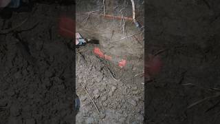 I found a real box treasur ehunt metaldetecting treasurehunt [upl. by Arais952]