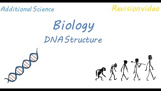 B2 DNA Structure Revision [upl. by Nwahsak36]