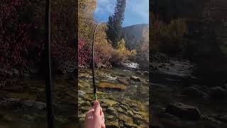 First Fish to the Net on the TinyTALON 245 prototype rod [upl. by Kindig699]