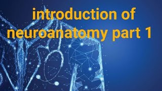 introduction of neuroanatomy and physiology by Dr sindhu 111 easy anatomy [upl. by Marelda]