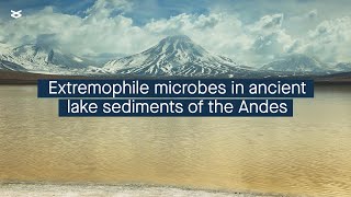 Despite extreme conditions ancient Andean lake sediments host diverse bacteria and archaea [upl. by Meehyr593]