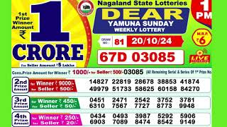 DEAR YAMUNA SUNDAY WEEKLY LOTTERY TODAY RESULT 1P M 201024latest lottery result [upl. by Pauli]