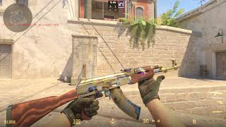 CS2 AK47 Case Hardened Gold Gem Pattern 219 Field Tested 01603 Skin Showcase [upl. by Aicenert754]