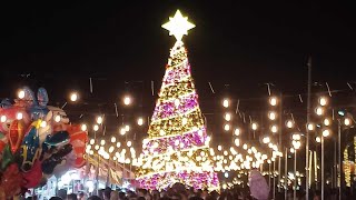 CHRISTMAS LIGHTING 2023 ALAMINOS CITY [upl. by Enamrahs861]