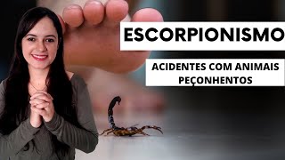 Escorpionismo Acidentes com animais peçonhentos  Profª Juliana Mello [upl. by Siri]