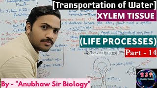 Xylem Tissue Class 10 ll Transpiration of water Class 10 ll Life Processes ll biology science [upl. by Decca]