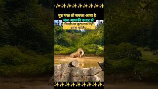 बुरा वक्त तो सबका आता है बस आपकी वजह से किसी का बुरा वक्त नहीं आना चाहिएmotivation animals yt [upl. by Alikam]