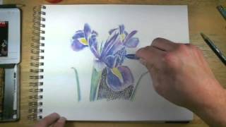 How to Draw with Watercolor Pencils  Live Lesson Excerpts [upl. by Avram]