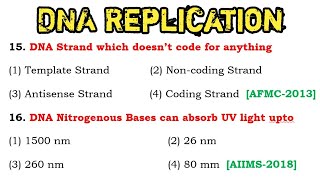 DNA Replication mcq  DNA Replication  genetics mcq [upl. by Aleris903]