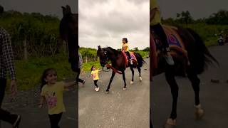 Horse 🐎 Riding  horse horses ghoda horseriding horselover ytvideo shortsfeed dhruhi [upl. by Odnumde545]