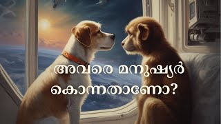 ബഹിരകാശത്തേക്ക്‌ പോയ മൃഗങ്ങൾ Animals were entered into Space Malayalam Crazypedia [upl. by Aisatsanna]