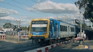 Toorak Road Kooyong Level Crossing [upl. by Dacey]