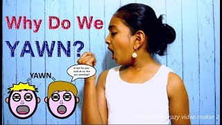 Why Do We Yawn  Yawn Meaning  Secrets Behind Yawning  English  Sashas Vlog [upl. by Nyrtak]