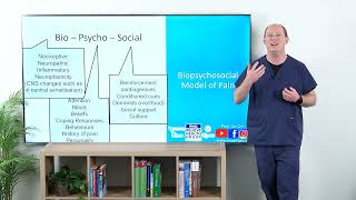 Pain 1B Biopsychosocial Model of Pain [upl. by Alfi]