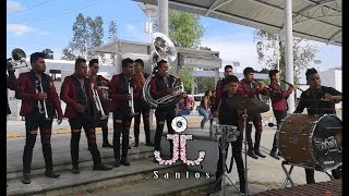 EL RITMAZO  Banda Reyna de Oaxaca EN VIVO [upl. by Salhcin729]