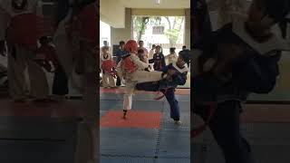 Taekwondo SubJunior fight taekwondolife taekowndo taekwondofight taekwondochampionship [upl. by Pascasia484]