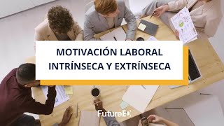 Motivación laboral intrínseca y extrínseca [upl. by Stuart582]