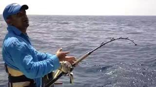 Kashmiri and group fishing  Giant trevally in Watamu [upl. by Martguerita]