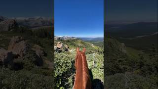 Wild Horse Riding Through Majestic Mountain Valleys  Travel Short [upl. by Baillie]