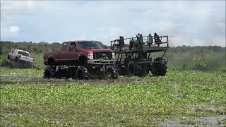 ORANGE FORD DEEP IN THE WATER HYACINTH PLANTBAMBOO 2024 [upl. by Maurice796]