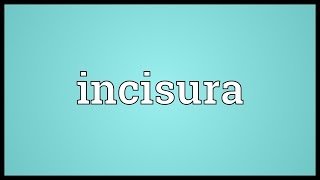 Incisura Meaning [upl. by Oah]