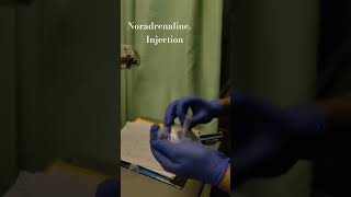 Noradrenaline Injection nursinglife student viralvideo viralshort youtubeshorts mini [upl. by Alilahk]