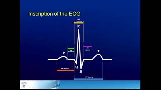 How to Interpret Heart Rhythms on ECGs [upl. by Botti466]