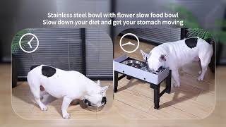 A slowfeeding bowl to keep your pet healthy [upl. by Yaf743]