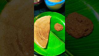 tomato pachadiidli dosa and rice please viral short [upl. by Maitilde356]